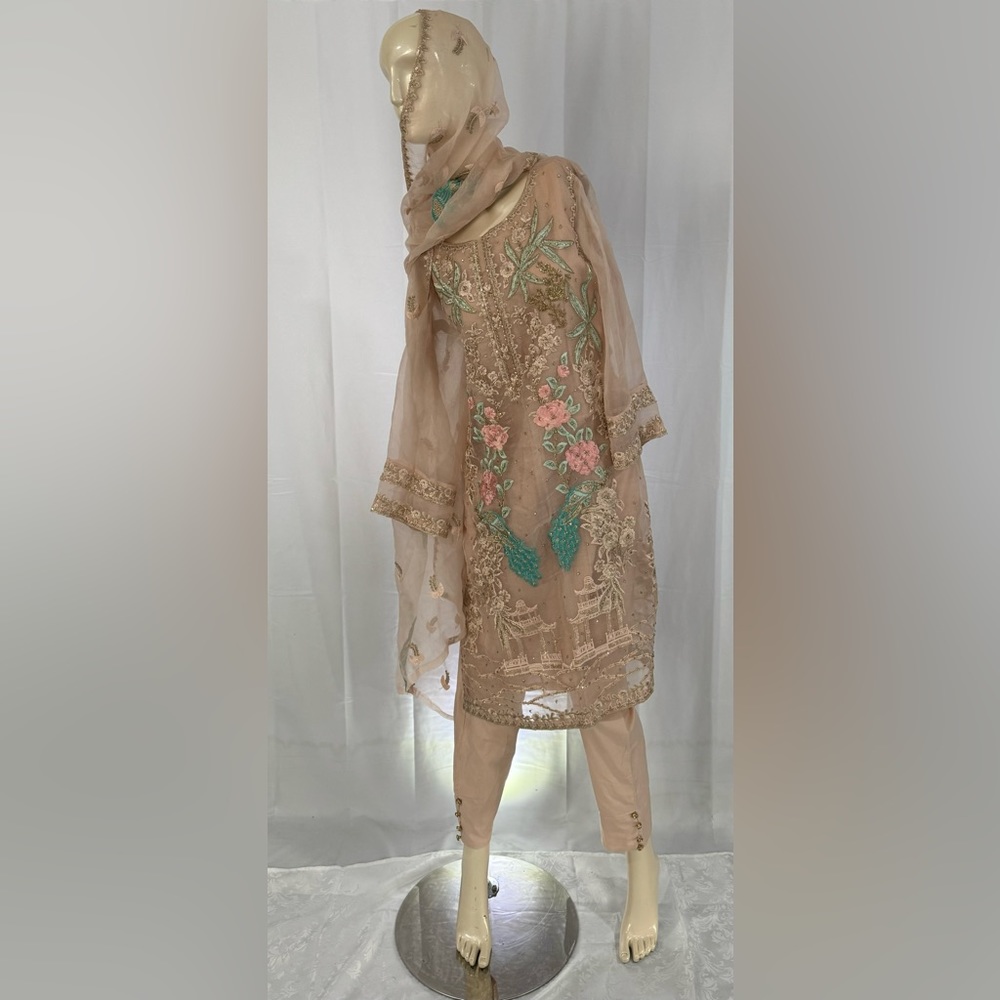 Indian pakistani dress